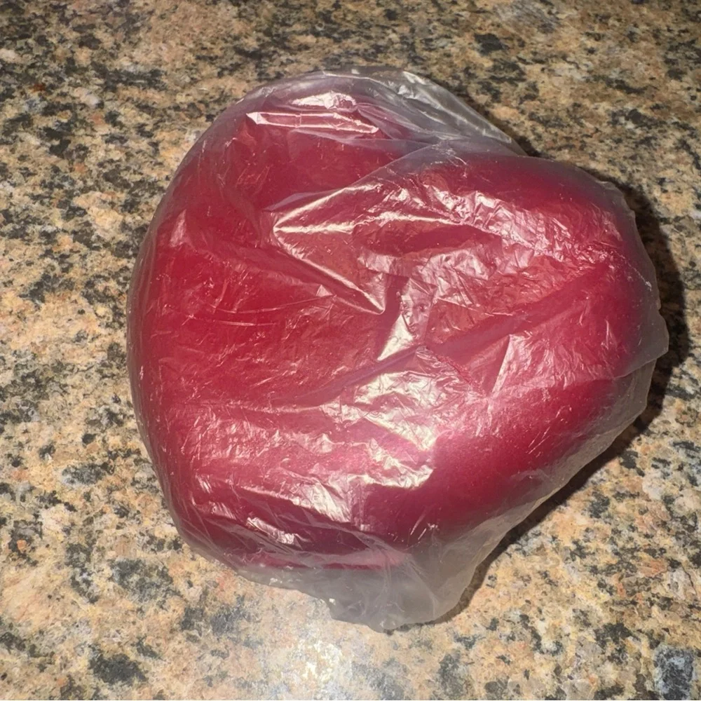 Tupperware Red Heart Hinge Sandwich Snack Container love NO STRAP Glitter new